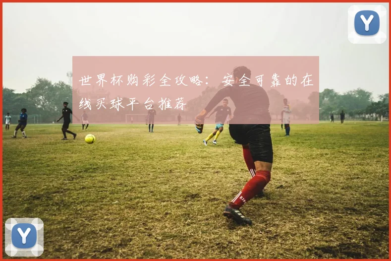 世界杯购彩全攻略：安全可靠的在线买球平台推荐