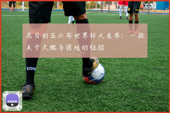 尼日利亚公布世界杯大名单：一段关于天赋与团结的征程