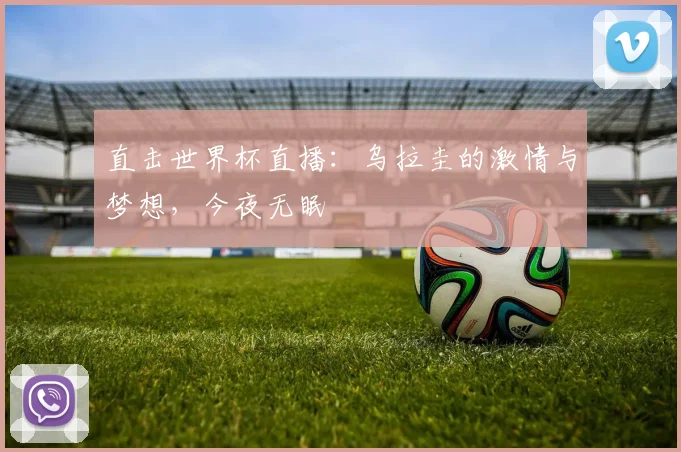 直击世界杯直播：乌拉圭的激情与梦想，今夜无眠