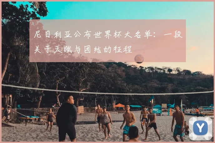 尼日利亚公布世界杯大名单:一段关于天赋与团结的征程