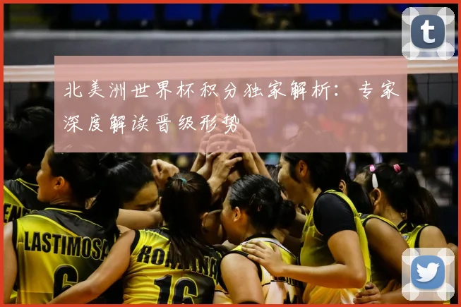 北美洲世界杯积分独家解析：专家深度解读晋级形势