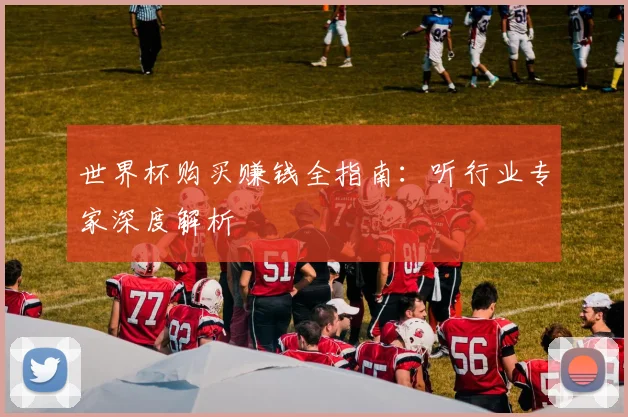 世界杯购买赚钱全指南：听行业专家深度解析