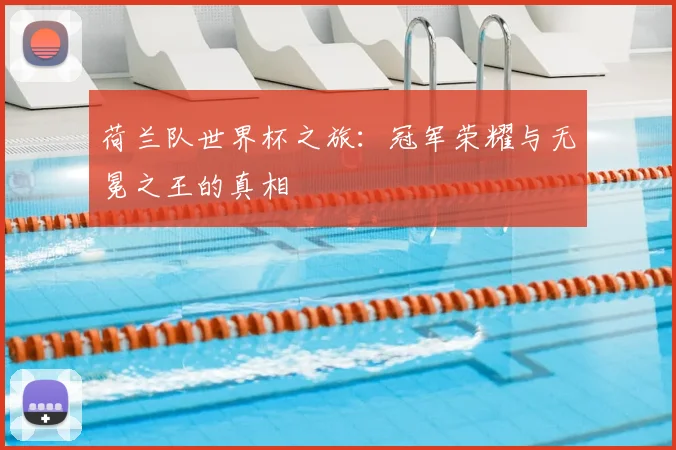 荷兰队世界杯之旅：冠军荣耀与无冕之王的真相