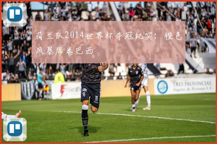 荷兰队2014世界杯夺冠纪实：橙色风暴席卷巴西