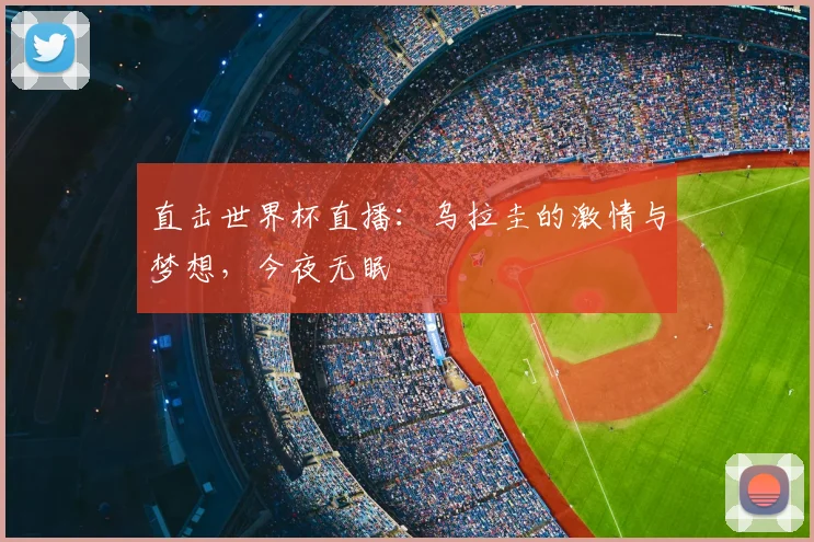 直击世界杯直播：乌拉圭的激情与梦想，今夜无眠