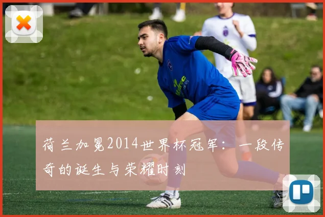 荷兰加冕2014世界杯冠军：一段传奇的诞生与荣耀时刻