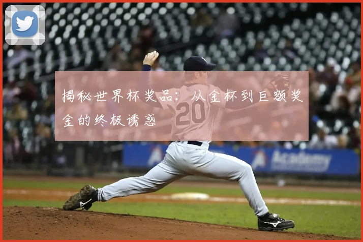 揭秘世界杯奖品：从金杯到巨额奖金的终极诱惑