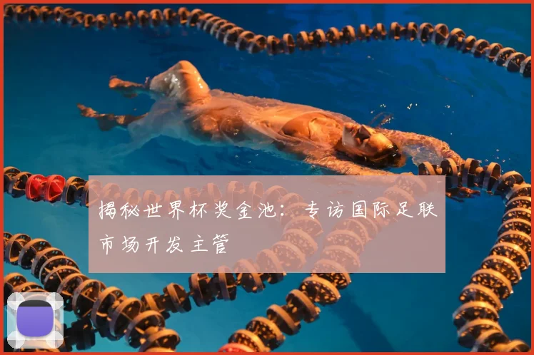 揭秘世界杯奖金池：专访国际足联市场开发主管