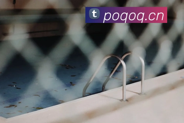 九游9官网平台生态图