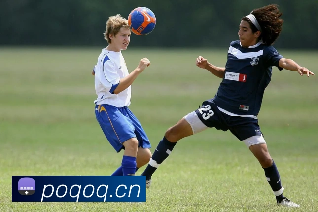 九游9官网APP 封面图